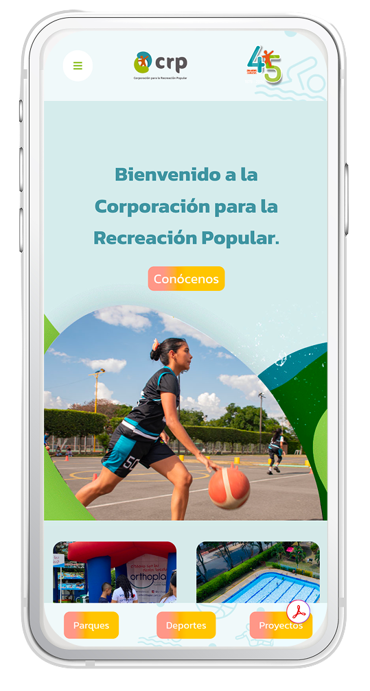 Diseño web personalizado para CRP por GeiNTEC